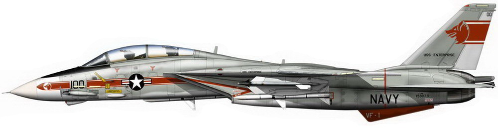 Силуэт Grumman F-14A