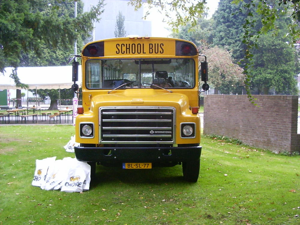 Школьный автобус International S-1800