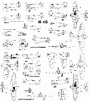 Модификации И-16