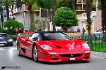 Ferrari F50